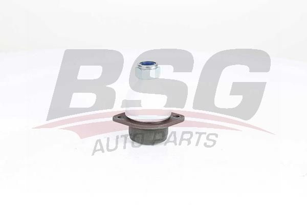 BSG 15310182 Rotil Alt