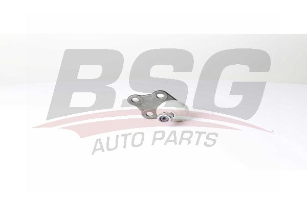 BSG 60310289 Rotil Alt