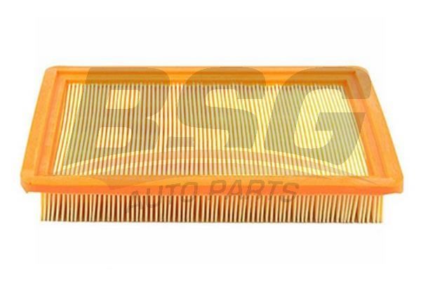 BSG 40145005 Polen Filtresi