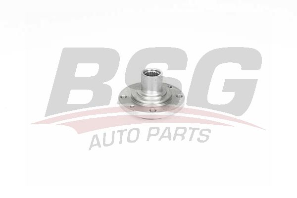BSG 25600004 Porya Ön - . Görsel
