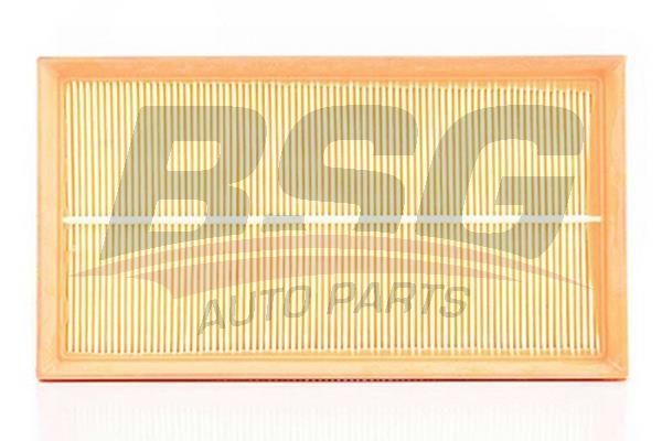 BSG 60135011 Hava Filtresi