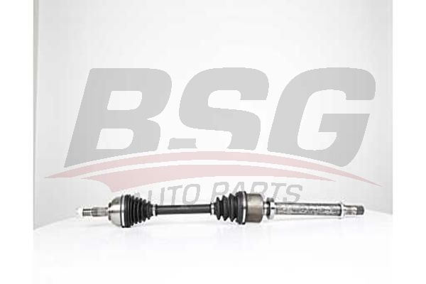 BSG 75350021 Aks Komple Ön Sağ - . Görsel