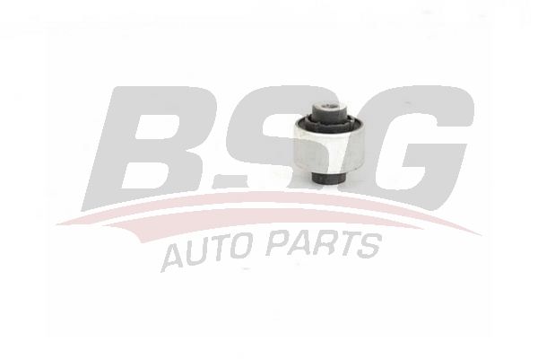 BSG 90700206 Salıncak Burcu