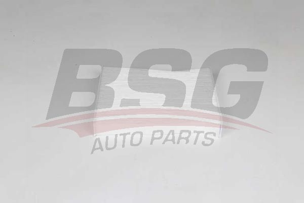 BSG 30145025 Polen Filtresi - . Görsel