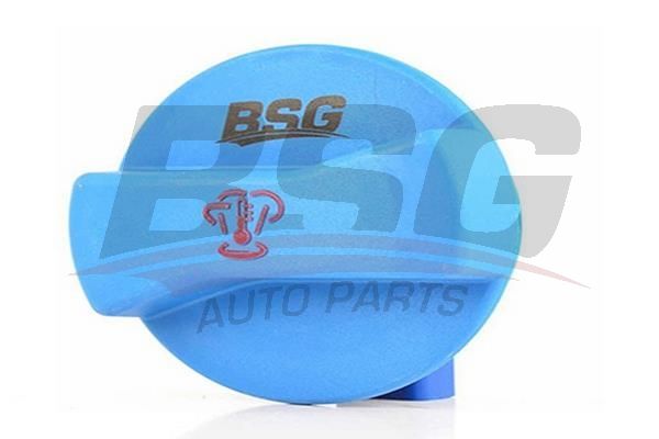 BSG 90551004 Radyatör Yedek Su Depo Kapağı - . Görsel