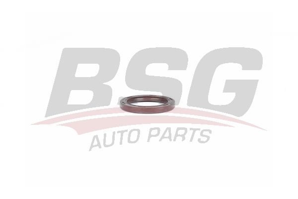 BSG 30116113 Eksantrik Keçesi