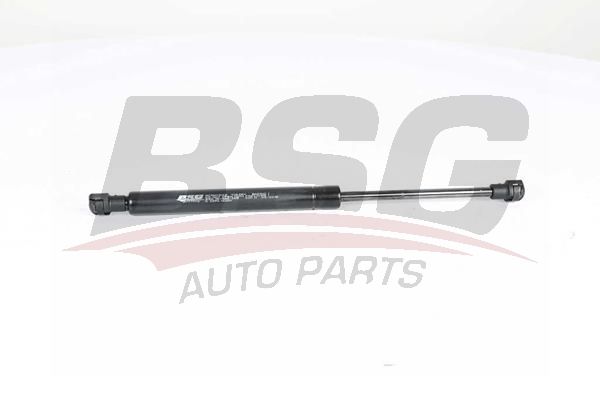 BSG 15980009 Motor Kaput Amortisörü
