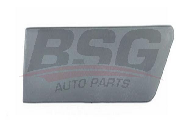 BSG 30926004 Çamurluk Kusağı Arka Sol