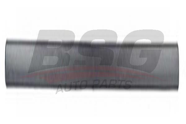 BSG 65925011 Kapı Bandı Ön Sol