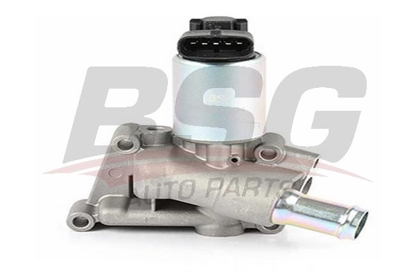 BSG 65836004 Egr Valfi - . Görsel