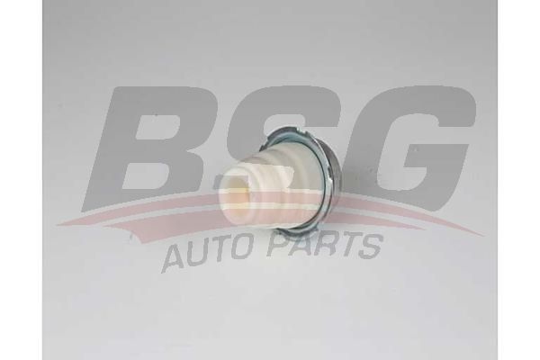 BSG 25700009 Amortisör Takozu Arka - . Görsel