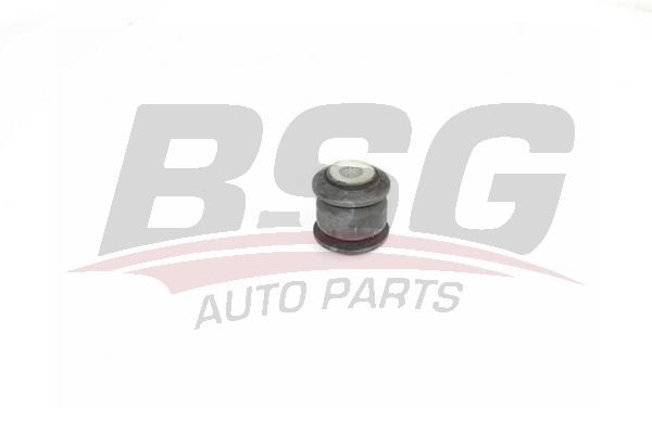 BSG 70700043 Salıncak Burcu