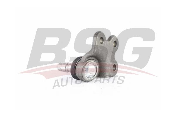 BSG 70310050 Rotil Alt