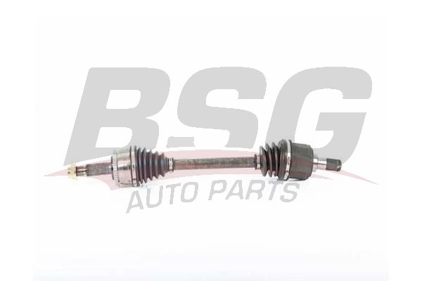 BSG 40350009 Aks Komple Ön Sol - . Görsel