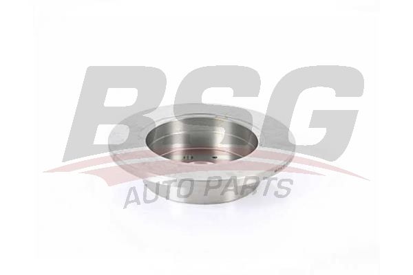 BSG 35210010 Fren Diski Arka