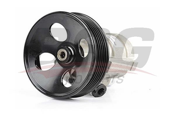 BSG 65355002 Direksiyon Pompası