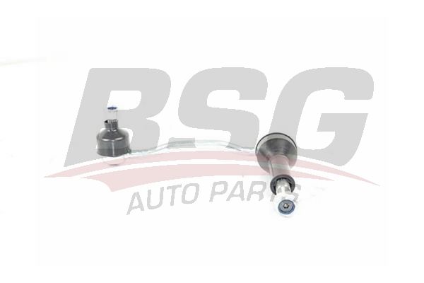 BSG 70310056 Viraj Askı Rotu Ön Sol