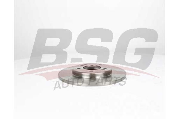 BSG 40210046 Fren Diski Arka