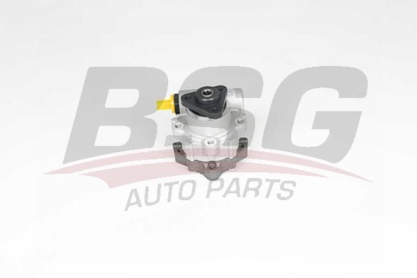 BSG 15355019 Direksiyon Pompası