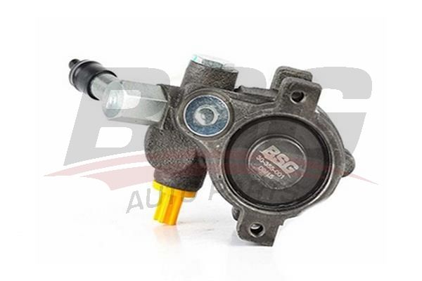 BSG 30355001 Direksiyon Pompası