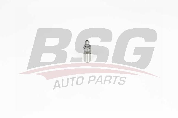 BSG 65122017 Supap Itıcısı