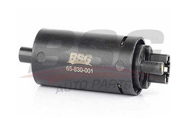 BSG 65830001 Yakıt Pompası