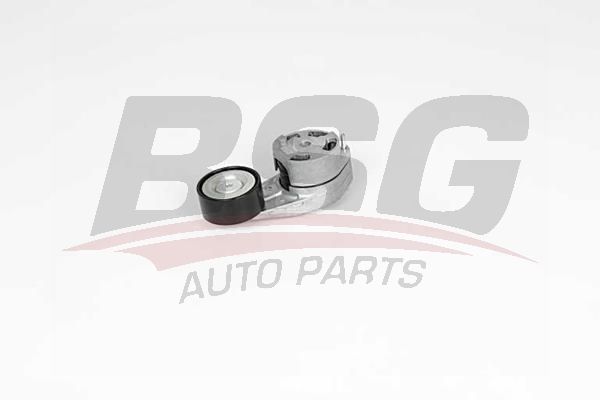 BSG 15615015 V Kayış Gergisi Komple
