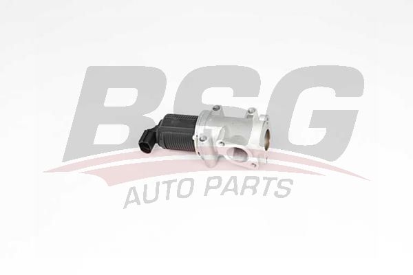 BSG 65836011 Egr Valfi