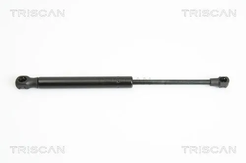 BSG 10980003 Bagaj Amortısörü