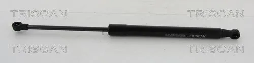 BSG 16980006 Bagaj Amortısörü