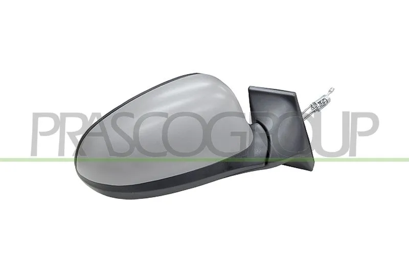 BSG 25900111 Dıs Dıkız Aynası Sag