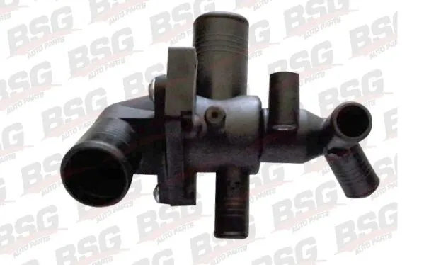 BSG 30126003 Termostat Gövdesı