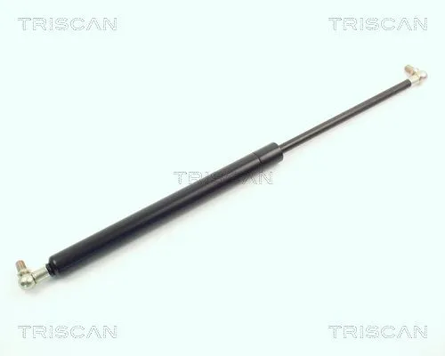 BSG 45980001 Bagaj Amortısörü