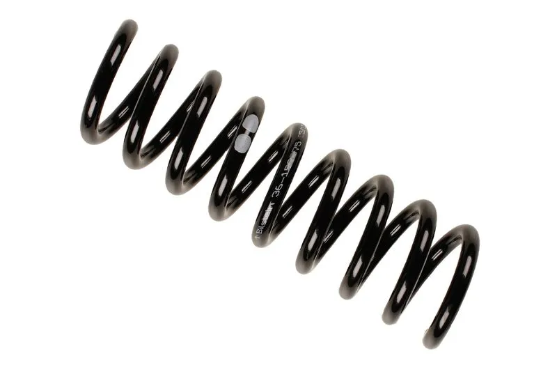BSG 60305011 Helezon Yayı Arka