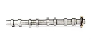 BSG 65108004 Eksantrık Mılı