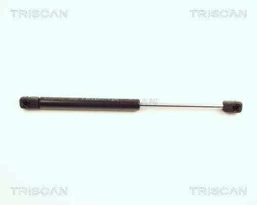 BSG 75980033 Bagaj Amortısörü
