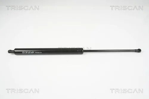 BSG 75980038 Bagaj Amortısörü