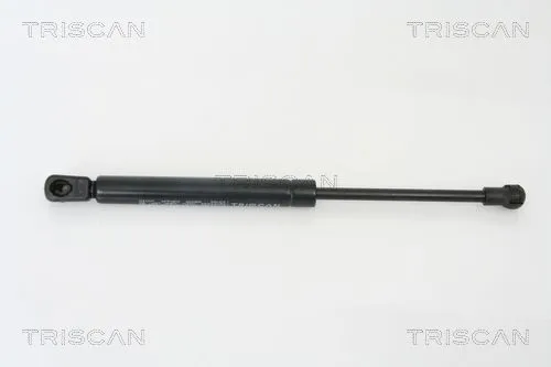 BSG 79980001 Bagaj Amortısörü