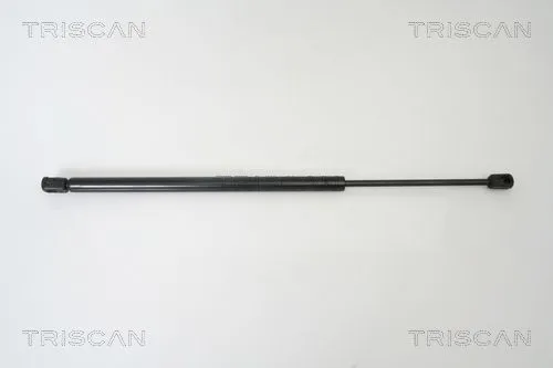 BSG 85980003 Bagaj Amortısörü