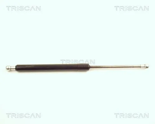 BSG 95980006 Bagaj Amortısörü