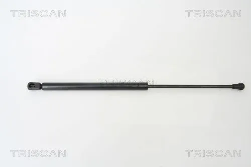 BSG 95980008 Bagaj Amortısörü
