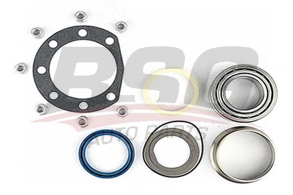BSG 60600004 Porya Rulmanı Arka
