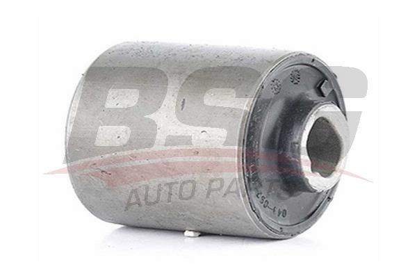 BSG 60700167 Salıncak Burcu