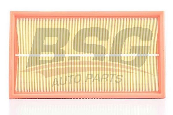 BSG 60135010 Hava Filtresi
