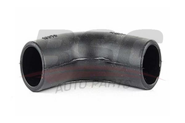 BSG 65720135 Motor Havalandırma Hortumu
