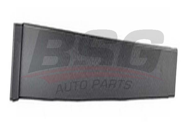 BSG 30925003 Kapı Direk Çıtası Arka Sağ