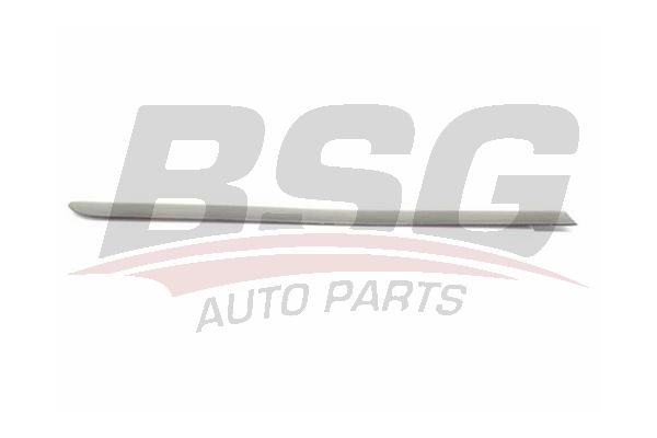 BSG 90924028 Kapı Bandı Arka Sağ