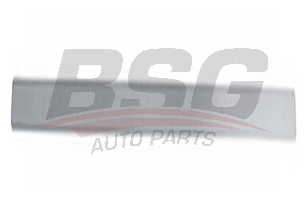 BSG 30924011 Kapı Bandı Ön