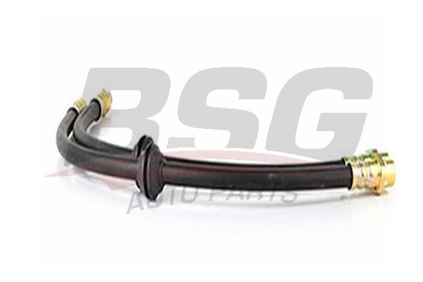 BSG 15730001 Fren Hortumu Ön - . Görsel