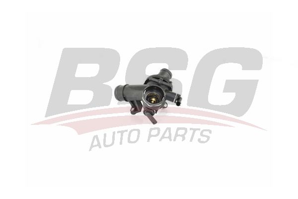 BSG 60125016 Termostat